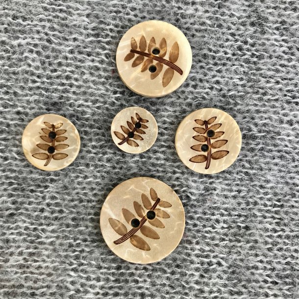 Kokosknapp Rogneblad